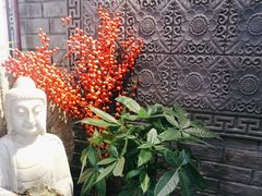-满乡小馆