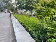 -远洋未来汇