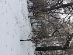 -北山公园