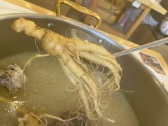 -朴小妹人参鸡汤火锅(长白山万达店)