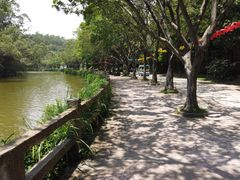 -李小龙乐园(顺德均安店)