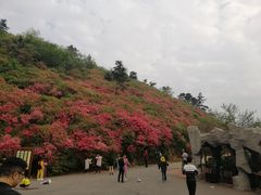 -木兰云雾山
