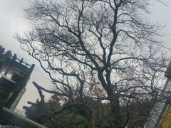 -普陀山风景区-佛顶山