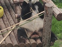 -大连森林动物园