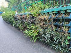 -红花山公园