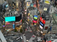 -涩谷全向十字路口