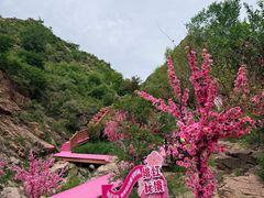 -桑干河大峡谷旅游区