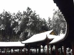 -铁山坪森林公园