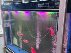 -老杨头烧烤(博烤堂店)