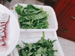 -正能量脆肉鲩火锅