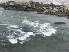 -深圳湾公园(南山区)