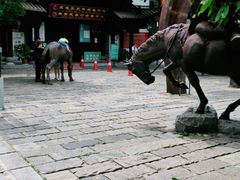-云南民族村