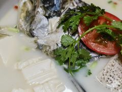 -全乐鱼馆·淳牌有机鱼直营店
