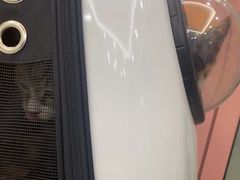 -全心全意连锁动物医院·微创中心·内科急重症·心脏专科(丰管路店)