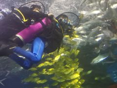 -太平洋海底世界