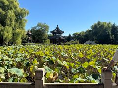 -莲池书院博物馆