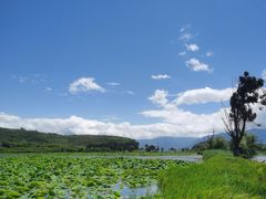 -大理洱海