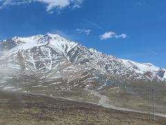 -小六汤包·老字号·中华名小吃(公园南路店)