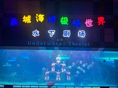 -泉城欧乐堡海洋极地世界