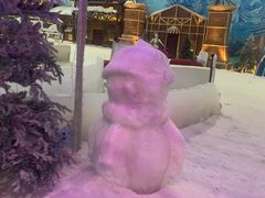 -世界之窗阿尔卑斯冰雪世界