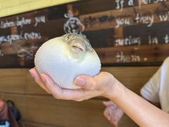 -永安鱼庄·镇江菜(丁卯店)