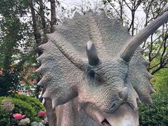 -海合安武汉极地海洋公园