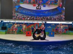 -成都浩海立方海洋公园