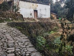 -杨家堂村