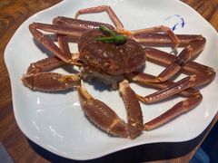 -森味薪火烧•烧鸟居酒屋•日本料理(望京店)
