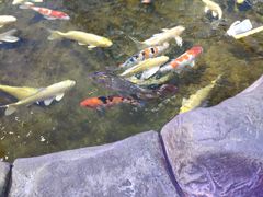 -鸿通城购物中心