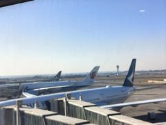 -奥利弗·雷金纳德·坦博国际机场