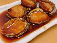 红烧鲍鱼-来之顺海鲜菜馆·青岛菜(栈桥店)