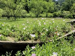 -常德桃花源景区
