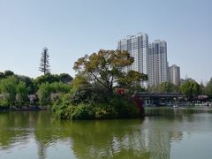 -荆川公园