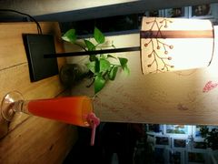 android_upload_pic-拖板鞋咖啡旅行酒店(春熙路地铁站店)