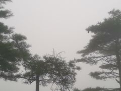 -九宫山风景区