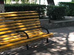 -保定市动物园
