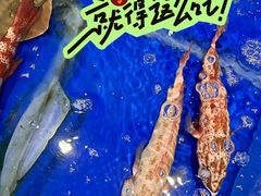 -三亚火车头万人海鲜广场