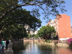 -晓港公园