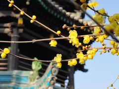 -西安化觉巷清真大寺