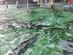 -天怡·鱼工厂(梅溪湖店)