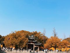 -西园戒幢律寺