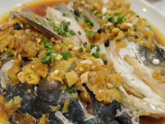 剁椒鱼头-新新湘菜馆(新中街二条店)