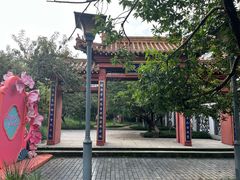 -桃花堤公园