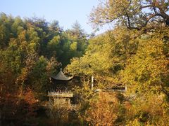 -塔川景区