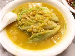 豆汤娃娃菜-陈麻婆豆腐总店