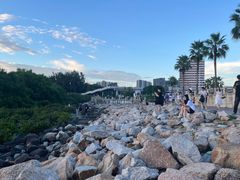 -宝安西湾红树林湿地公园