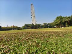 -南宁市凤岭儿童公园