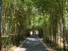 -四海公园(南山区)