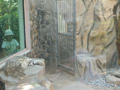 -青藏高原野生动物园